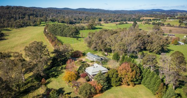 Historic Daisy Bank dairy farm sale the end of an era for pioneering Bega family