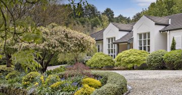 Picturesque Southern Highlands home surrounded by parklike gardens