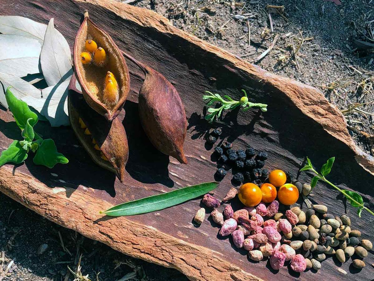 NMA indigenous food exhibit