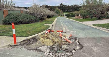 Canberrans urged to expose the Territory's worst - and best - roads following pothole-littered year