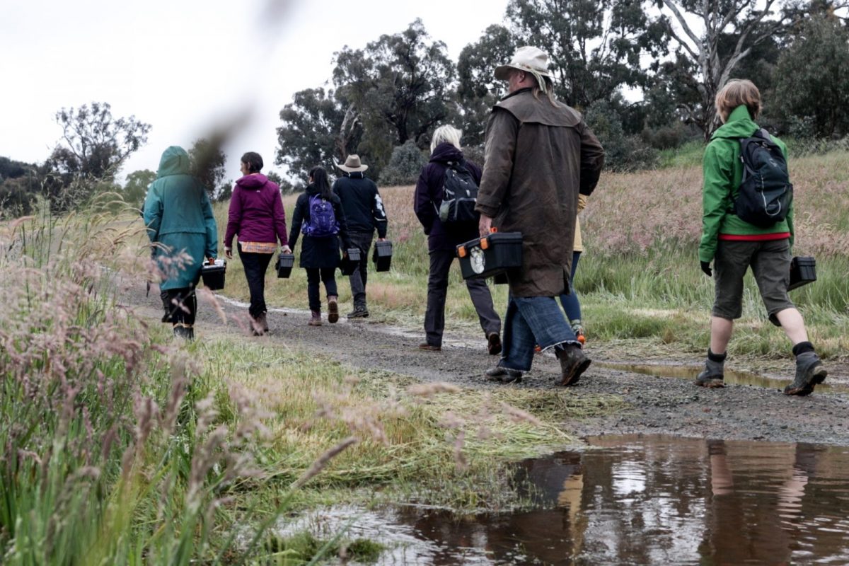 people walking through bushland near water