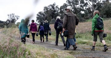 Hidden life of stormwater drains revealed in new waterways initiative