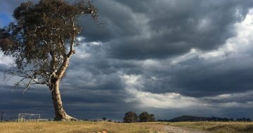 Meet the student masterminds behind new storm detection tech