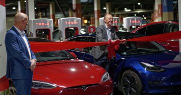 Tesla owners more likely to vote Labor or teal, new data on ACT's car choices confirms