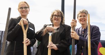 'Long thin paddock' in Fyshwick carpark gives way to greenery and goodwill