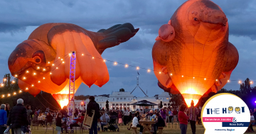 PODCAST: The Hoot on street trees, the NACC and how to tell if you're really a Canberran