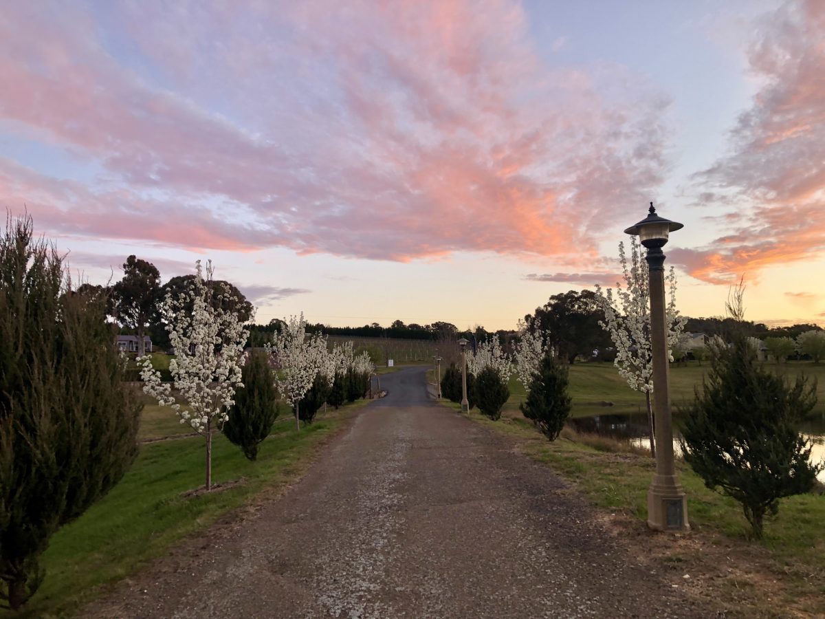 Entrance to Tallagandra Hill Winery