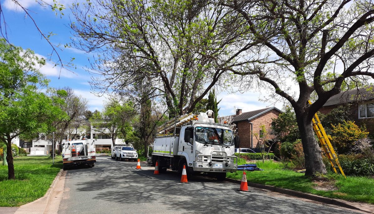 Evoenergy trucks