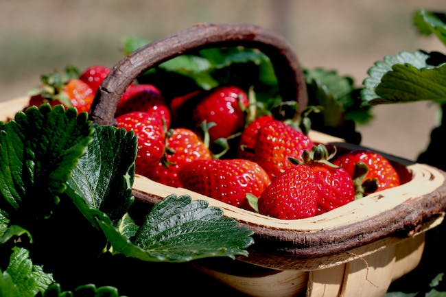 strawberries in a basket