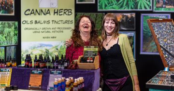 Hemp Health and Innovation Expo arrives with VIP 'mini festival'