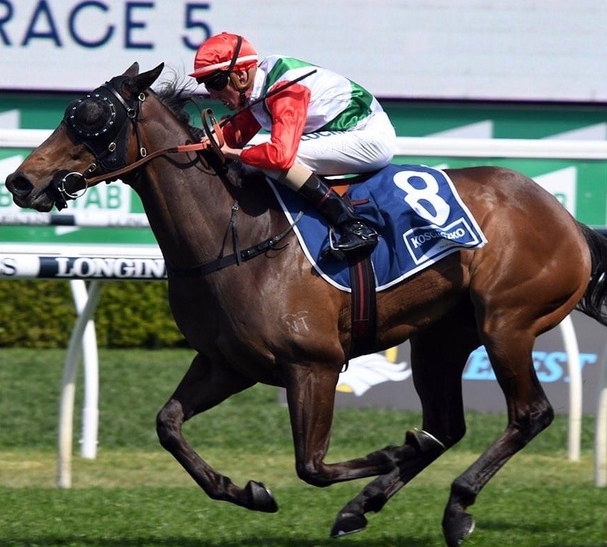 Horse racing in Canberra