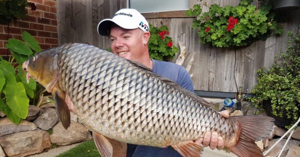 ACT considers culling carp with biological weapon, but could we eat them instead?