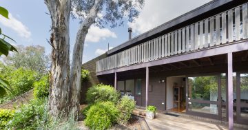Live among the trees in split-level architect-designed stunner in Cook