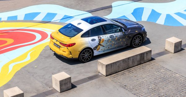 BMW depicting Canberra's endangered Golden Sun Moth wins car-wrap competition