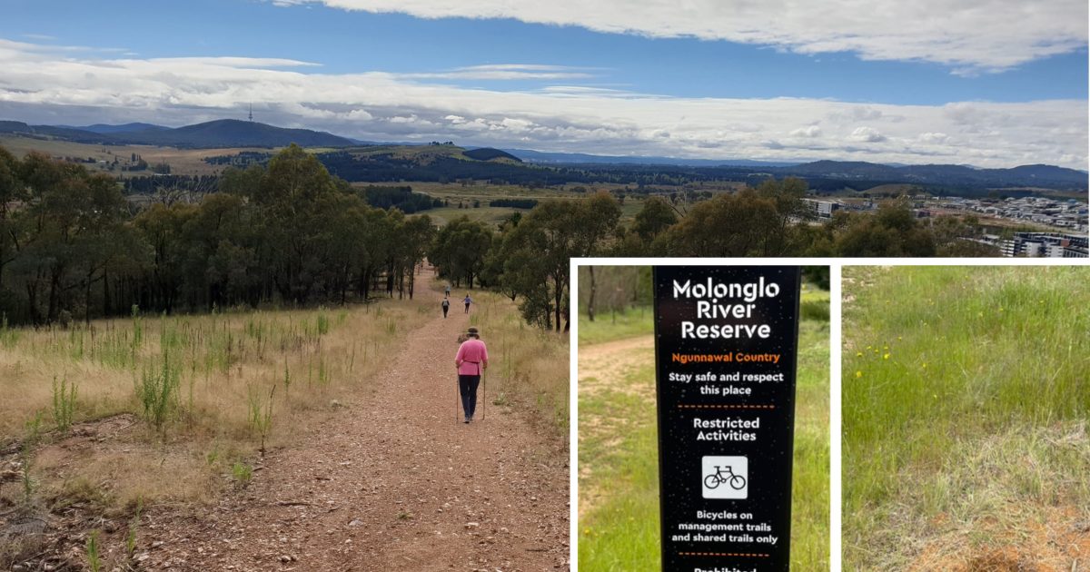 Years of campaigning has given the ACT a new nature reserve, but does it go far enough? | Riotact