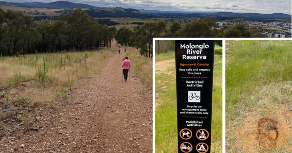 The case of the mysterious nature reserve sign at Blewitt's Block solved