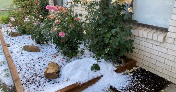 Power back on for all Canberra households after Sunday evening hailstorm