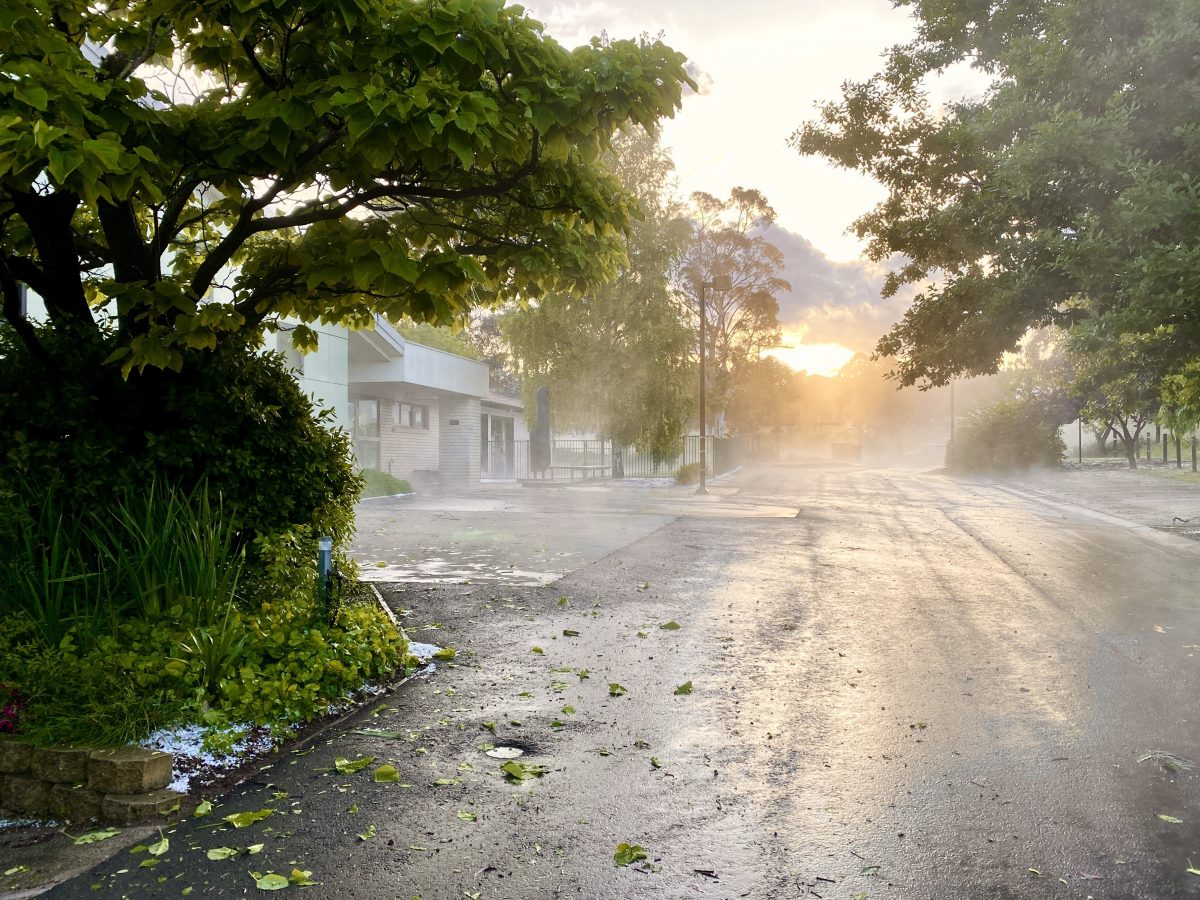 hailstorm aftermath