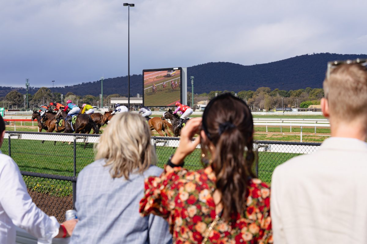 punters watching the races