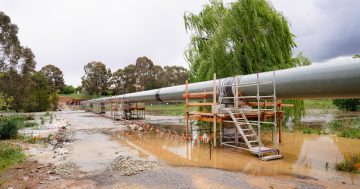 Investing in the future – why Icon Water is upgrading the Belconnen trunk sewer