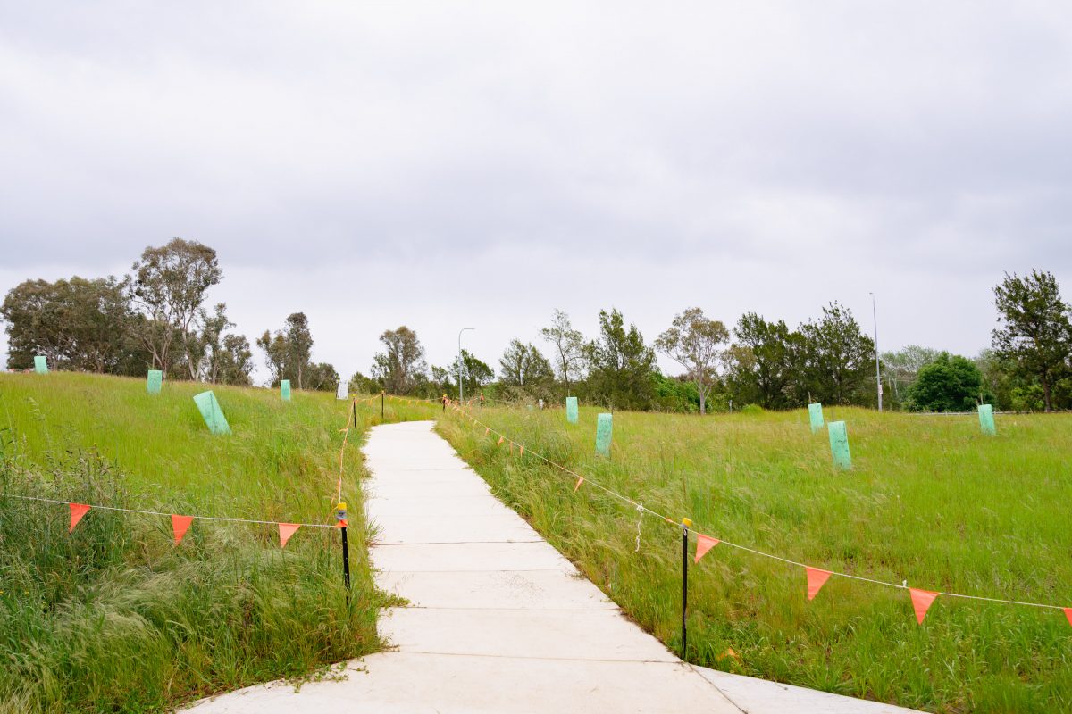 Belconnen Trunk Sewer