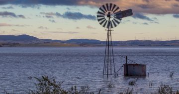 Lake George is full, here's what we should do with it