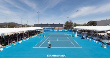 Tennis stars to shine day and night when Canberra International returns in January