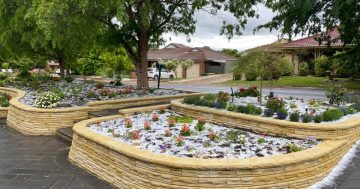 Snow in mid-November? What really fell over the Canberra region during latest cold snap