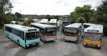 The last of Canberra’s orange ACTION buses are about to disappear - will we miss them?