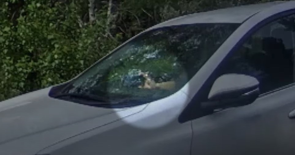 Woman filming in car