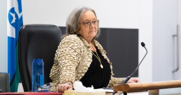 Highs and lows: Joy Burch to leave Assembly at 2024 election