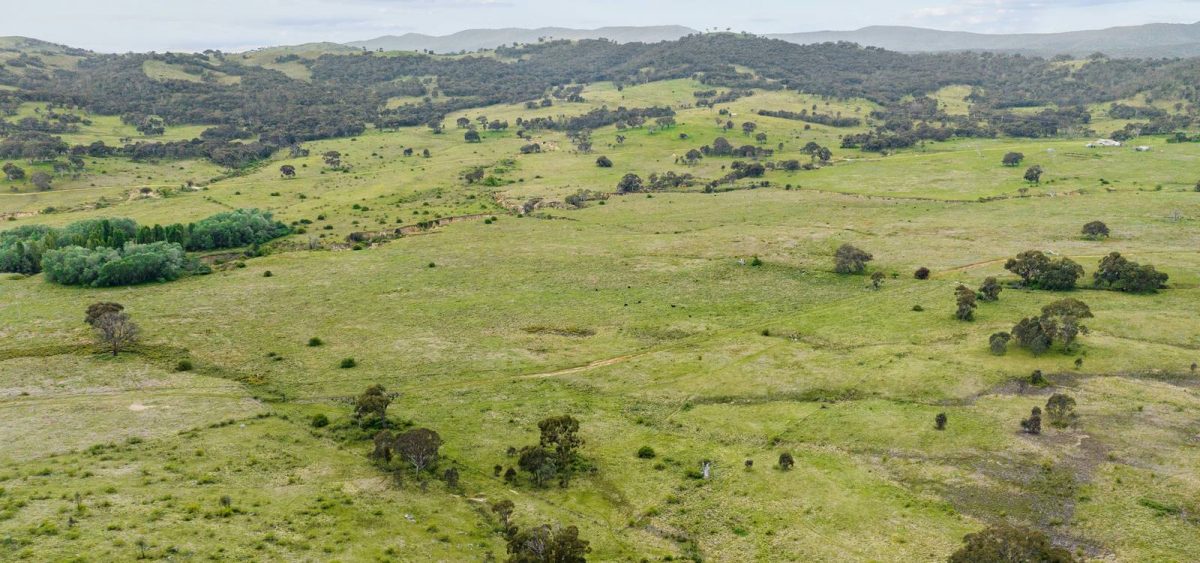 58 Black Flat Road in Burra