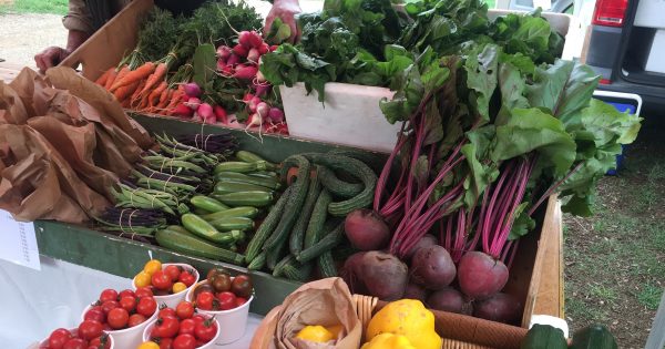 Southern Harvest Association is bringing food straight from the farm to the people