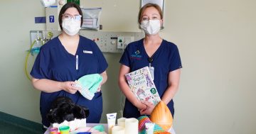 Canberra Hospital staff hope 'Canberra generosity' shines in Christmas Appeal