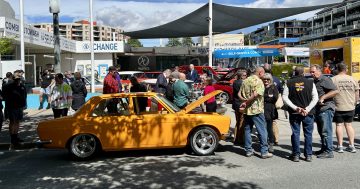 Probing the polls: Christmas trees and Summernats - it must be January in Canberra!