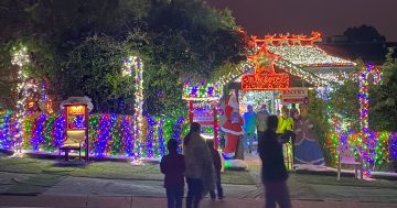 Kambah's Christmas light extravaganza to stay but last chance for a walk-through