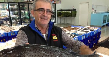 Fyshwick's long-time FishCo business goes on the market as family scales back