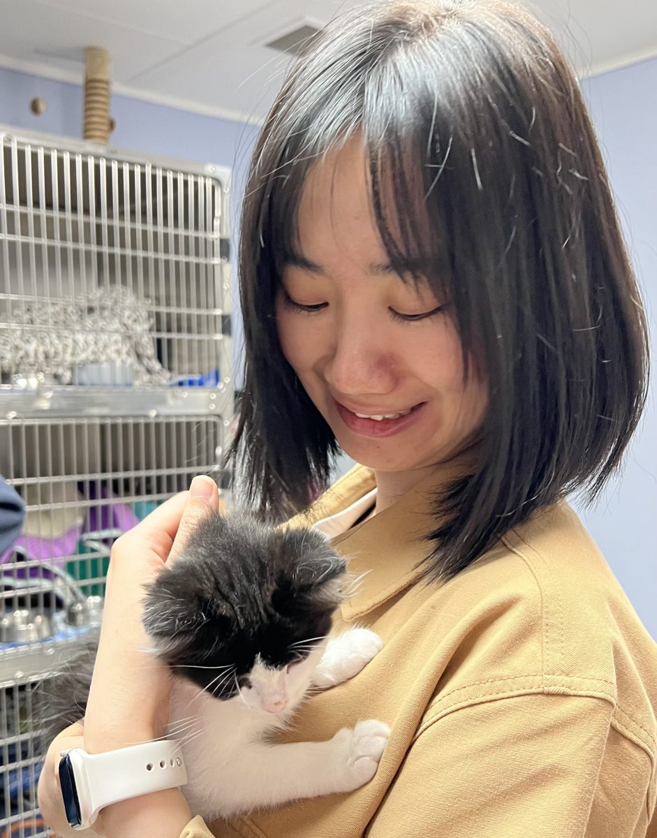 woman holding kitten