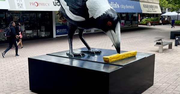 Popular magpie sculpture officially swoops back into the city