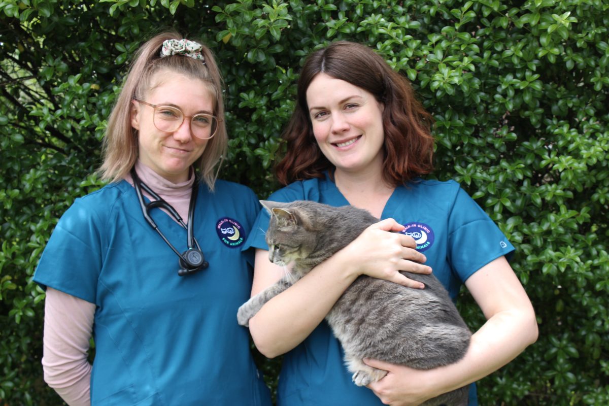 Two woman and a cat