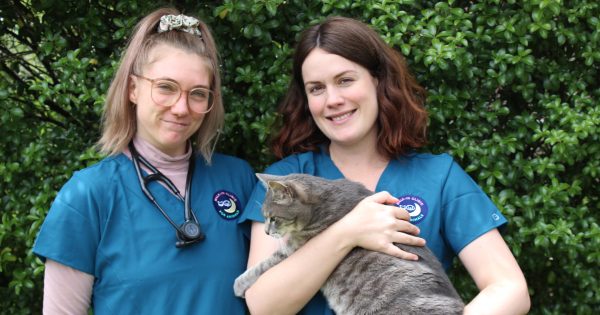 New Canberra walk-in clinic opens for after-hours animal care