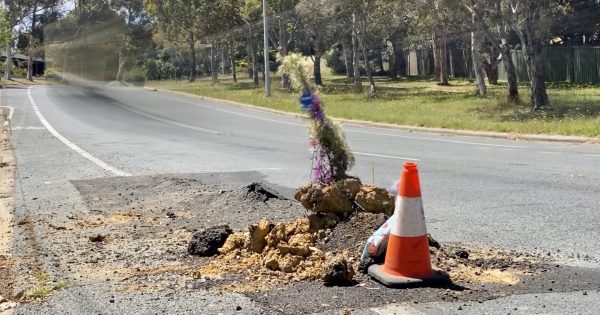 Belconnen road hazard births mystery Christmas tree, complete with lights and presents