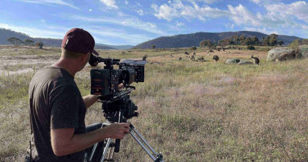 Namadgi National Park stars in kangaroo 'coming-of-age' Netflix film