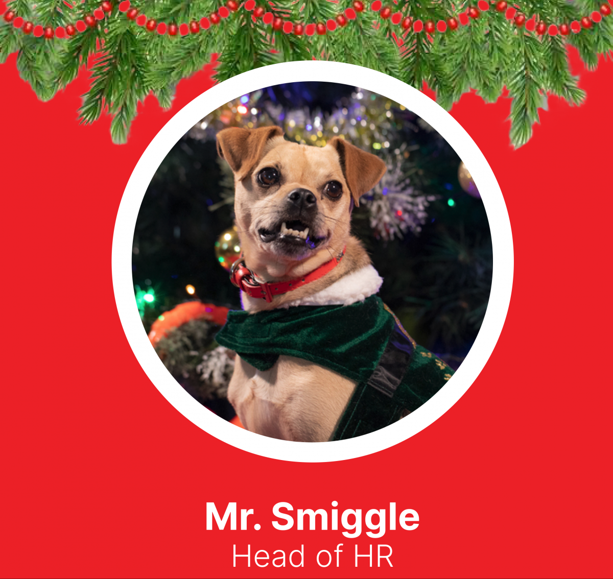 Christmas Smiggle