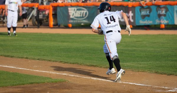 A new era beckons for the Canberra Cavalry in the Australian Baseball League