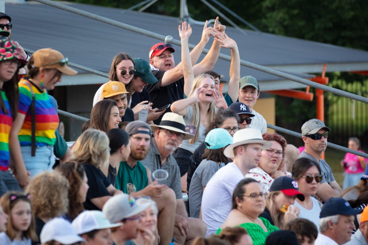 baseball spectators