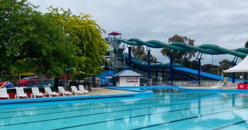 Here's nine of Canberra's most swim-worthy pools you need to visit