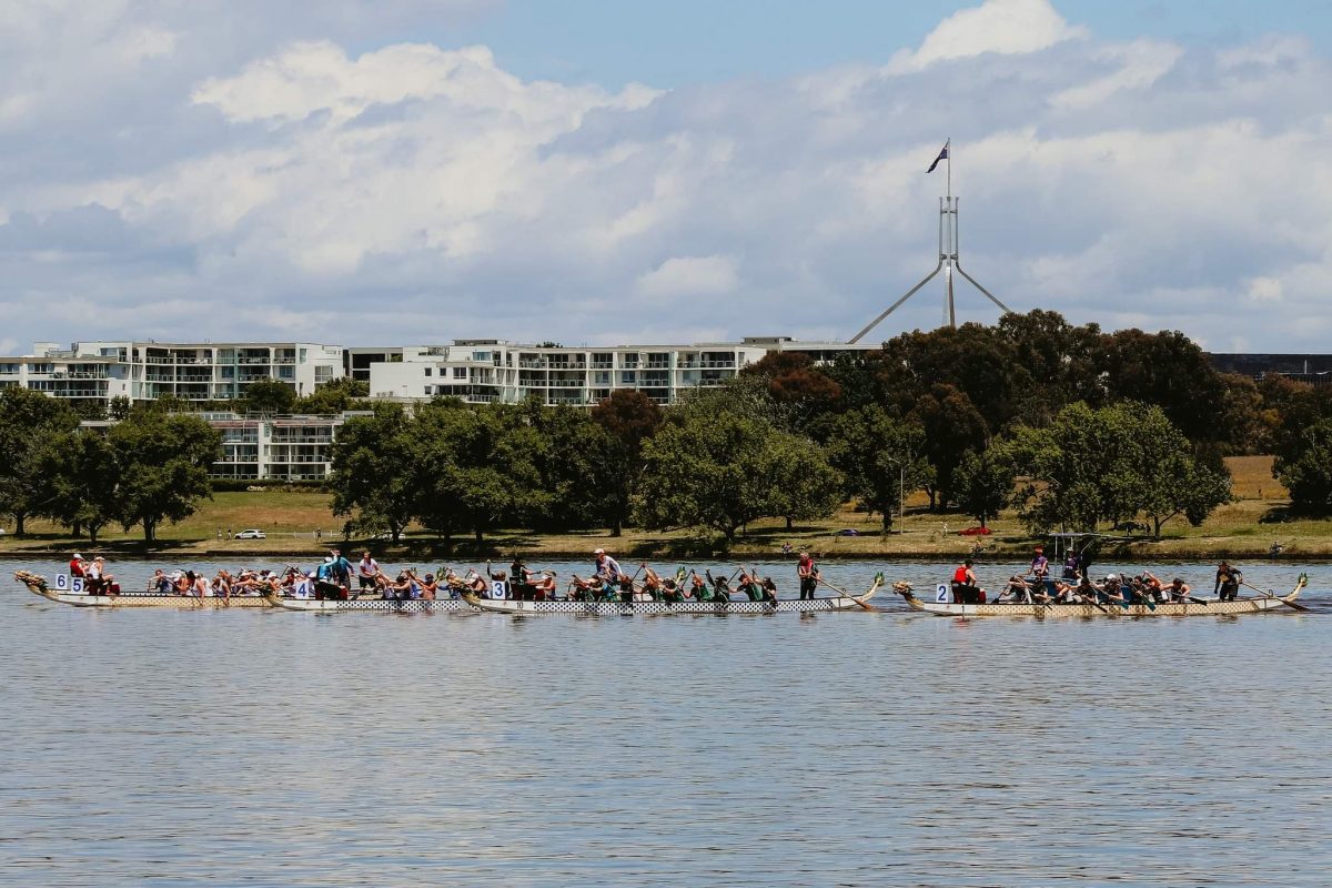 dragon boats on Lake Burley Griffin