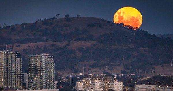 There will be two supermoons this month. Here's how to see them