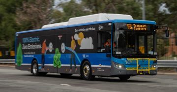 Canberra's electric buses under investigation after slave-labour claims